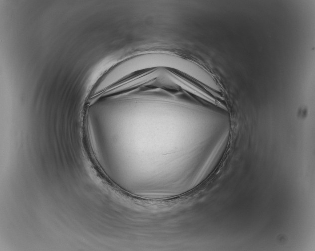 X0000114400006200911061548