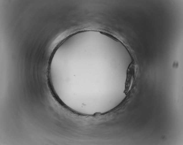 X0000114400007200911061548