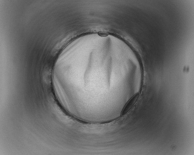 X0000114400009200911061548