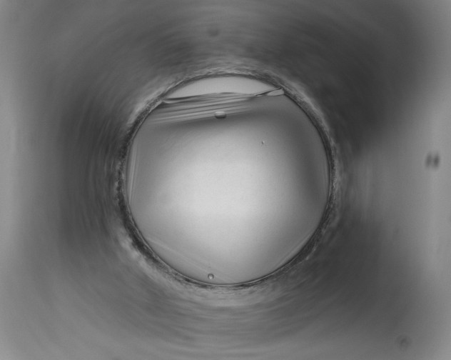 X0000114400010200911061548