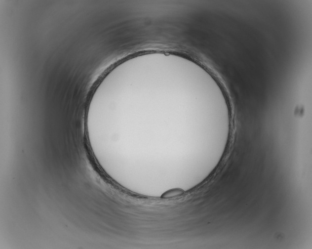 X0000114400011200911061548