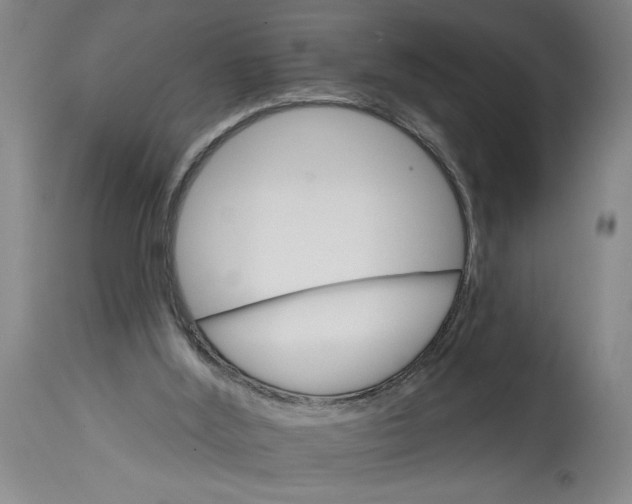 X0000114400012200911061548