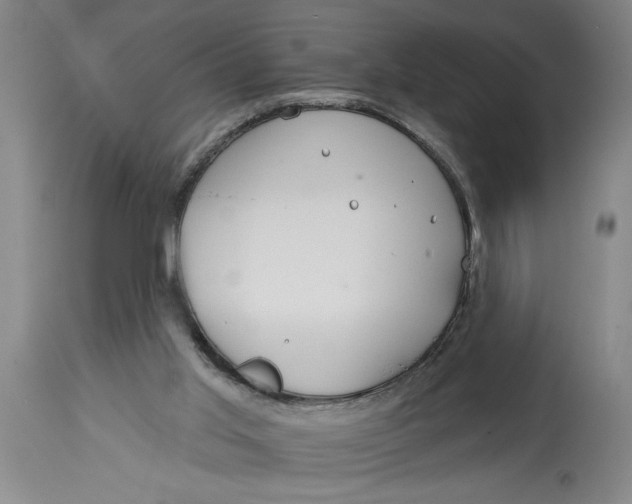 X0000114400013200911061548