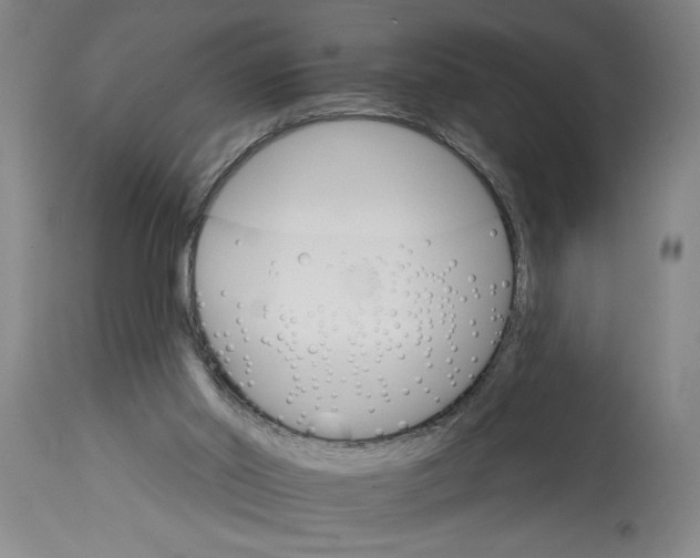 X0000114400014200911061548