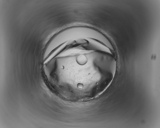 X0000114400015200911061548