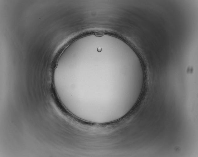 X0000114400016200911061548