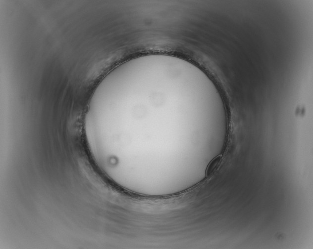 X0000114400017200911061548