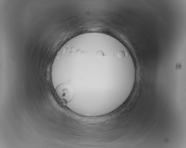 X0000114400018200911061548