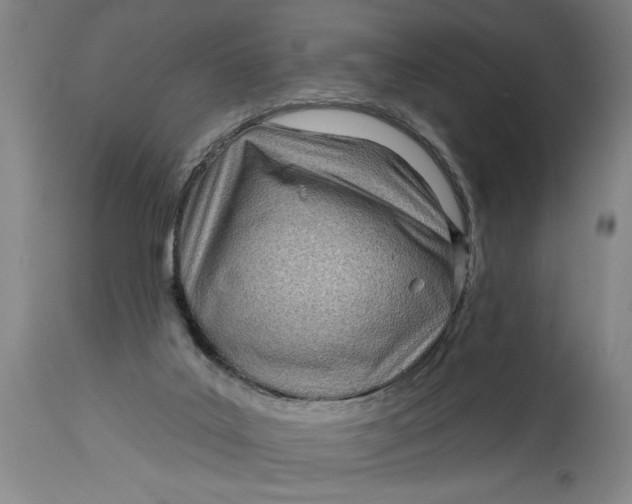 X0000114400019200911061548