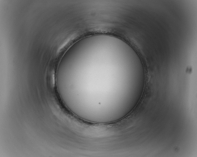 X0000114400020200911061548