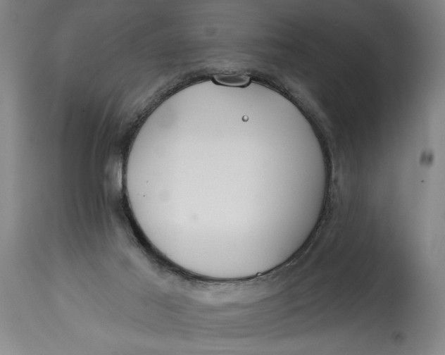 X0000114400021200911061548