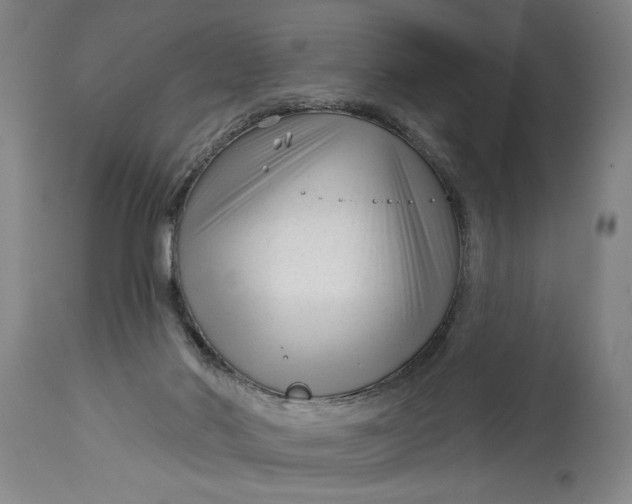 X0000114400022200911061548