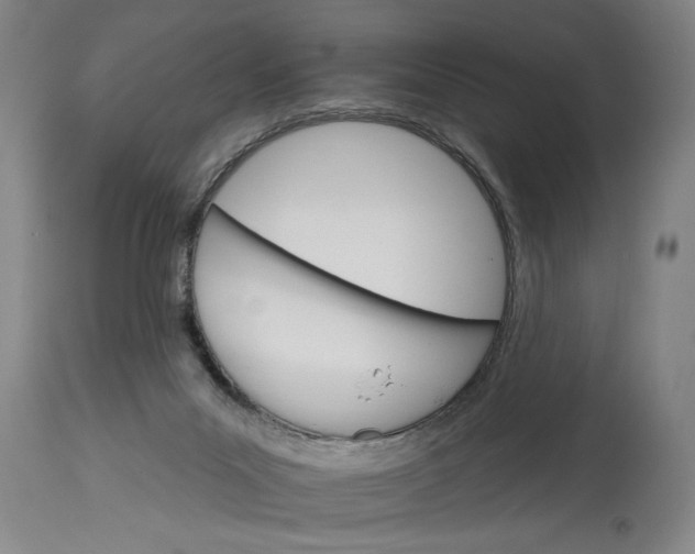 X0000114400023200911061548