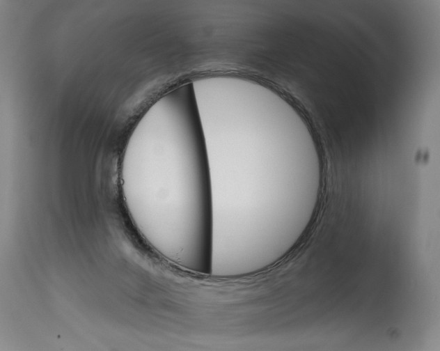 X0000114400024200911061548