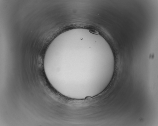 X0000114400025200911061548