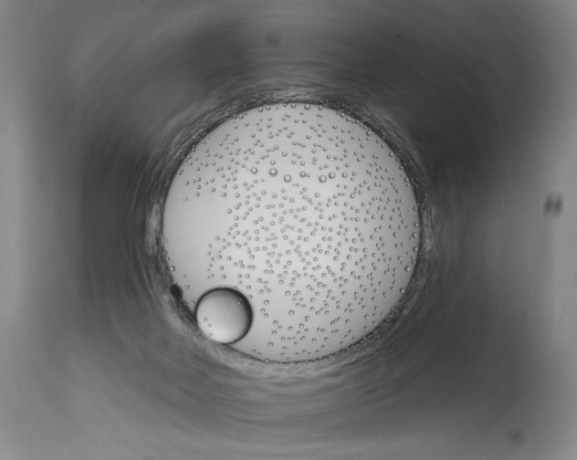 X0000114400026200911061548