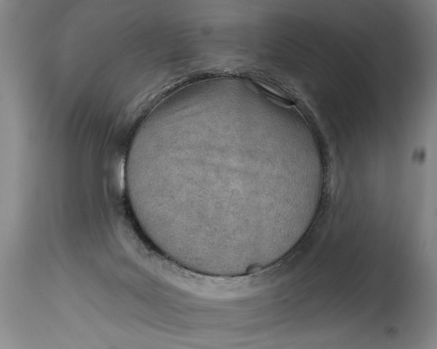 X0000114400027200911061548