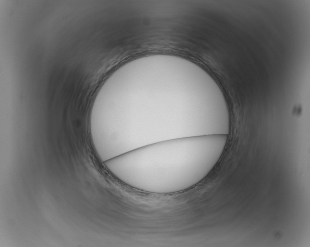 X0000114400028200911061548