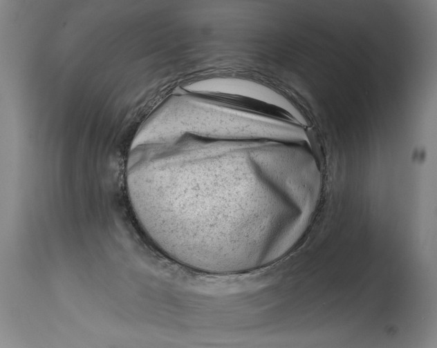 X0000114400029200911061548