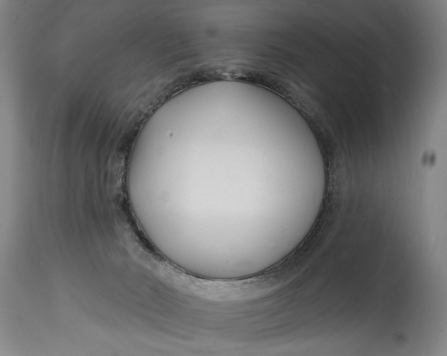 X0000114400030200911061548