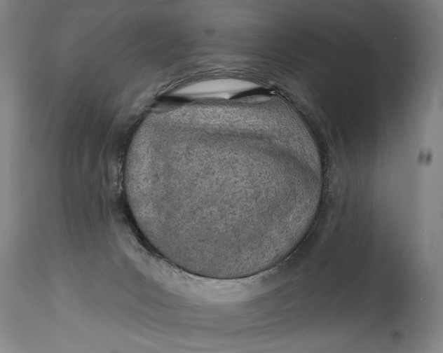 X0000114400031200911061548