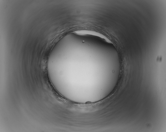 X0000114400033200911061548