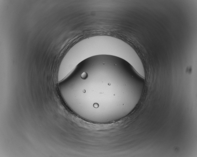 X0000114400035200911061548