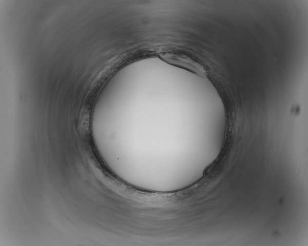 X0000114400036200911061548