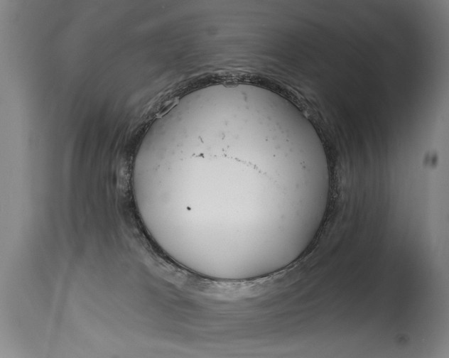 X0000114400037200911061548