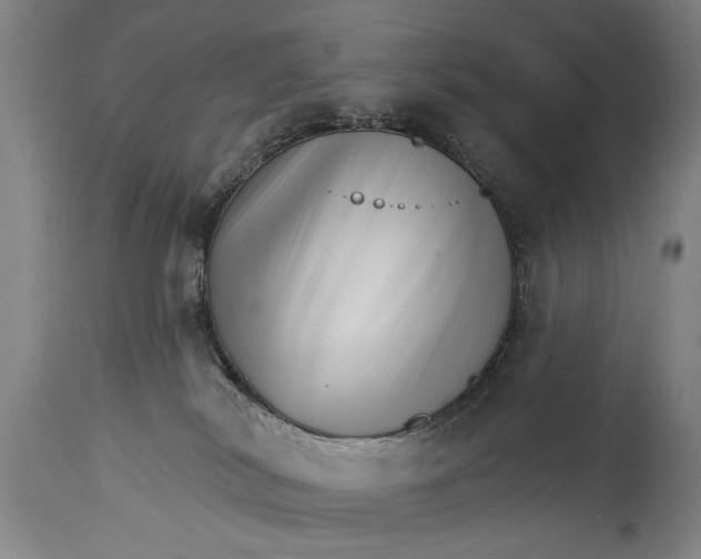 X0000114400038200911061548