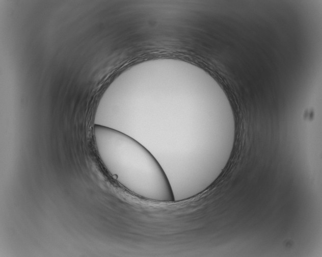 X0000114400039200911061548