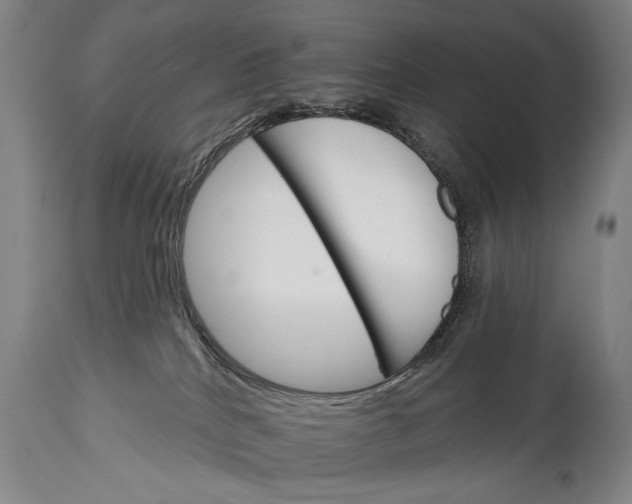 X0000114400040200911061548