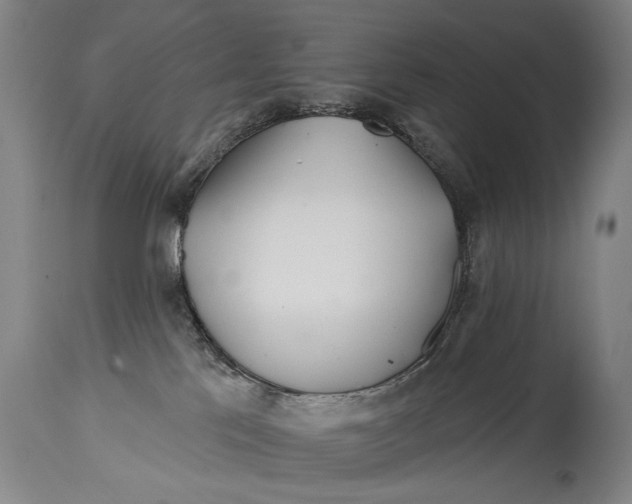 X0000114400041200911061548