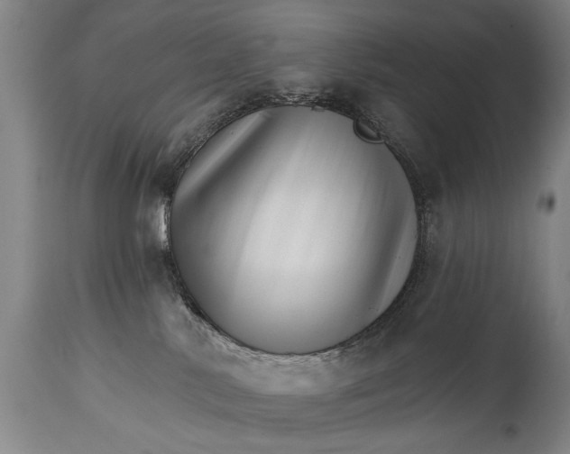 X0000114400042200911061548