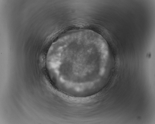 X0000114400043200911061548