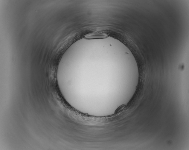 X0000114400044200911061548