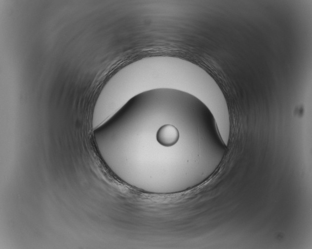 X0000114400045200911061548