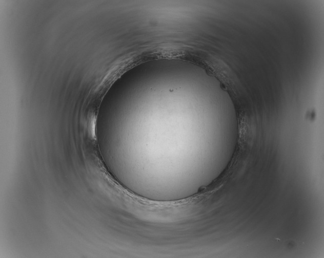 X0000114400046200911061548