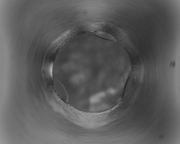 X0000114400047200911061548