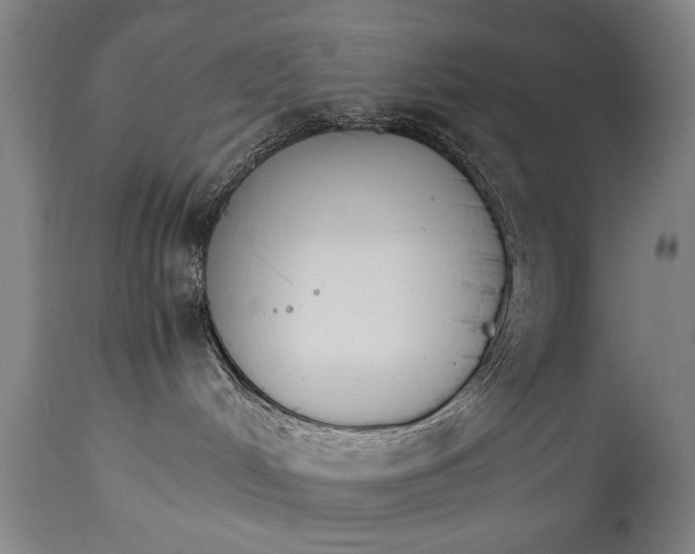 X0000114400048200911061547