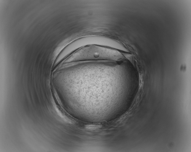 X0000114400051200911061547