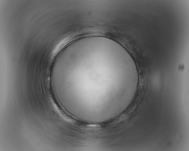 X0000114400053200911061547