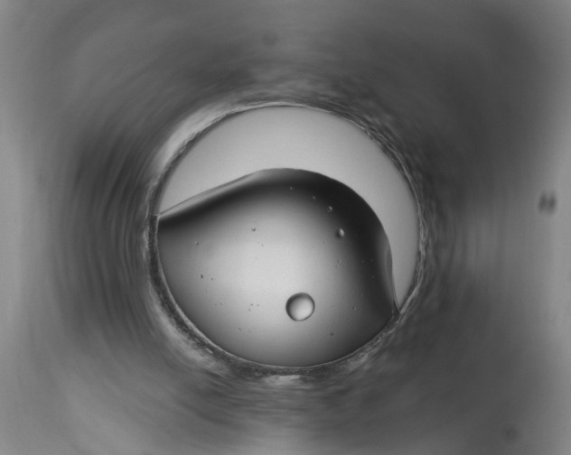 X0000114400054200911061547