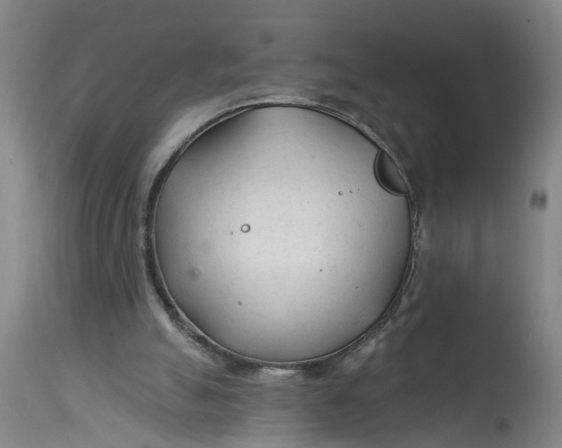 X0000114400055200911061547