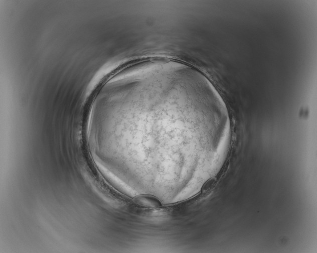 X0000114400056200911061547