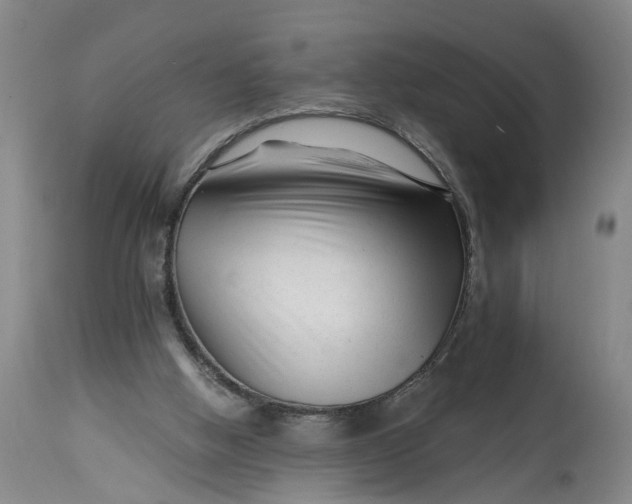 X0000114400058200911061547