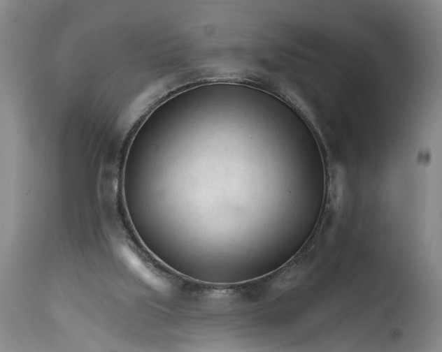 X0000114400059200911061547