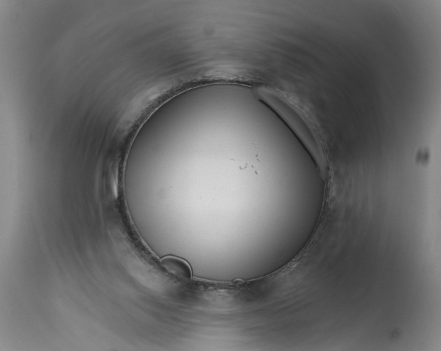 X0000114400062200911061547