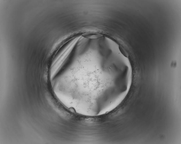 X0000114400064200911061547