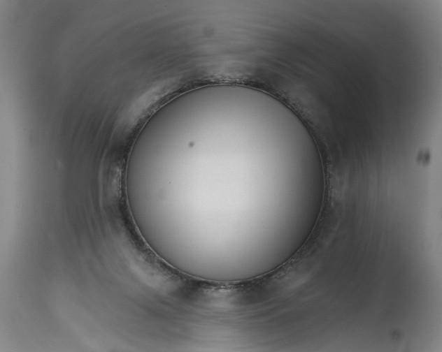 X0000114400071200911061547